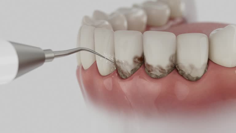 Reliable Dental contractor in Cut Off, LA by Dentist Open Now